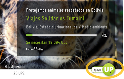 Pantallazo de la web de HelpUP