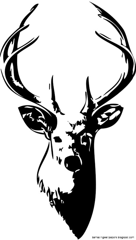 Deer Head Drawings  Amazing Wallpapers