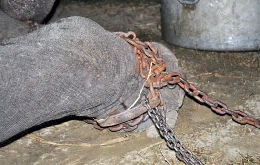 10.JPG