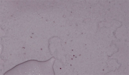 On Second Scoop: Ice Cream Reviews: Turkey Hill All Natural Raspberry ...