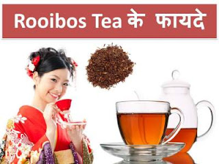 rooibos-tea-health-benefits-in-hindi-language rooibos-tea-health-benefits-in-hindi-language