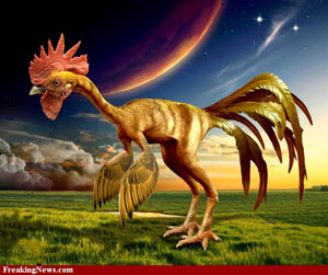 Benarkah Ayam adalah hasil Evolusi dari Dinosaurus | Rufiono