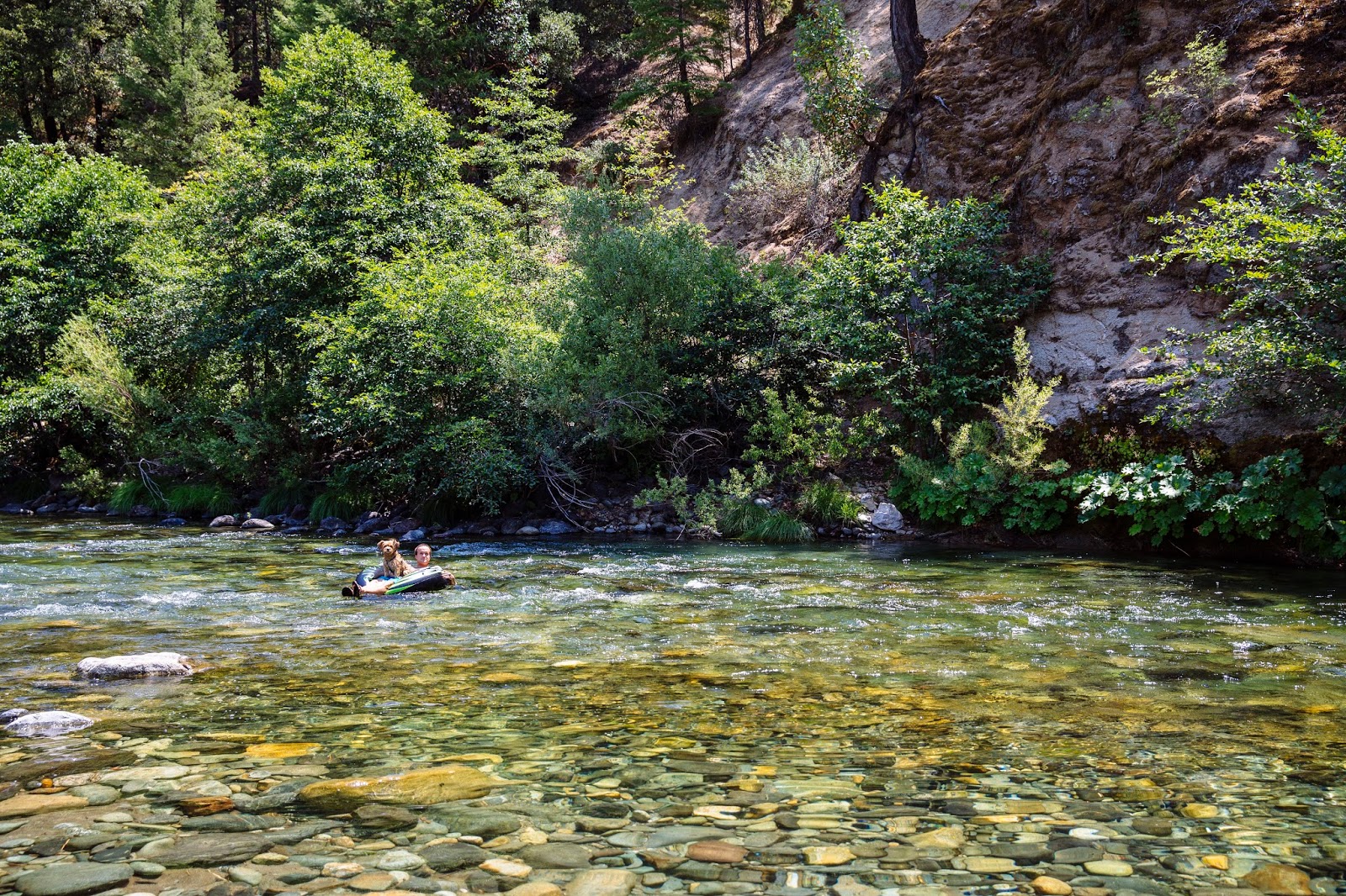 This Little Egge Summer Camping Trip 2 Rocky Rest, North Yuba River