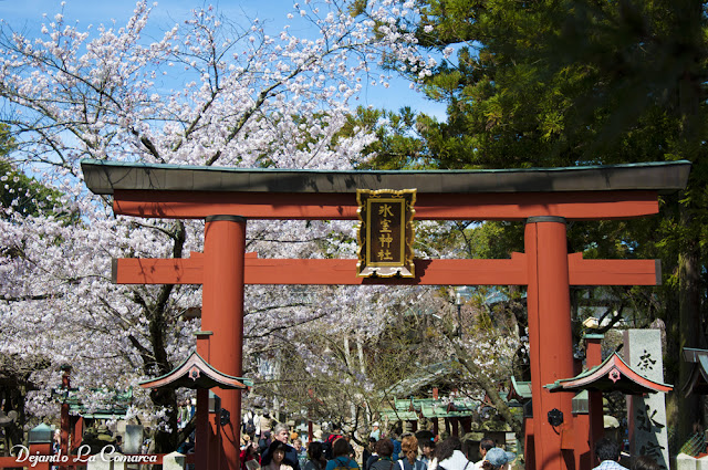 Día 10 - Nara - Osaka - Japón primavera 2016 - 18 días (con bajo presupuesto) (9)