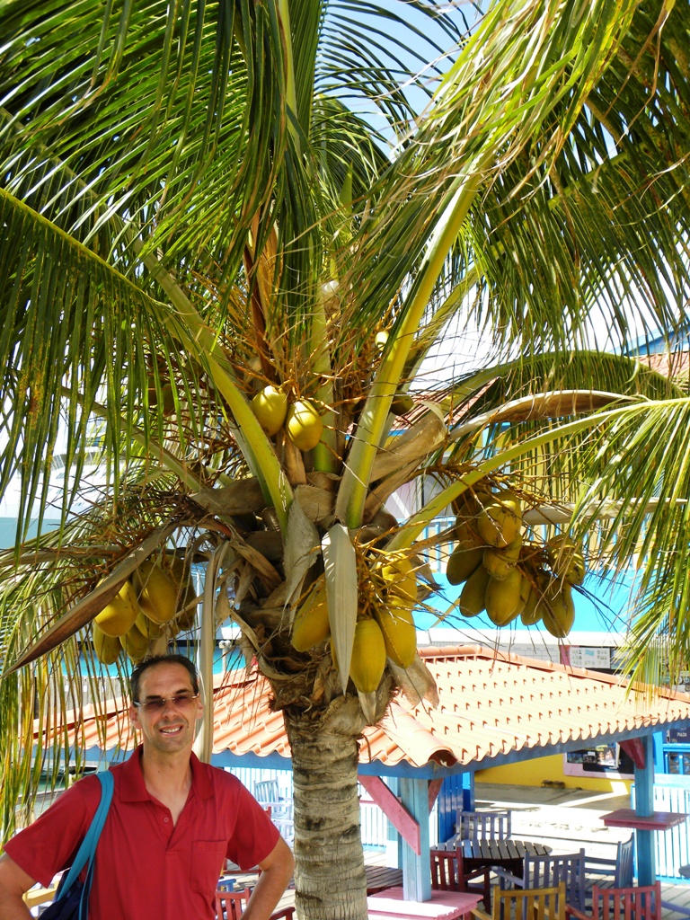 Travels - Ballroom Dancing - Amusement Parks: Snorkelling at the Divi