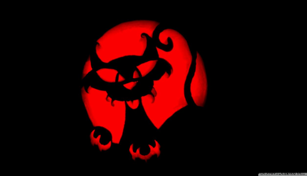 Happy Halloween Cat Pumpkin Carving HD desktop wallpaper  High