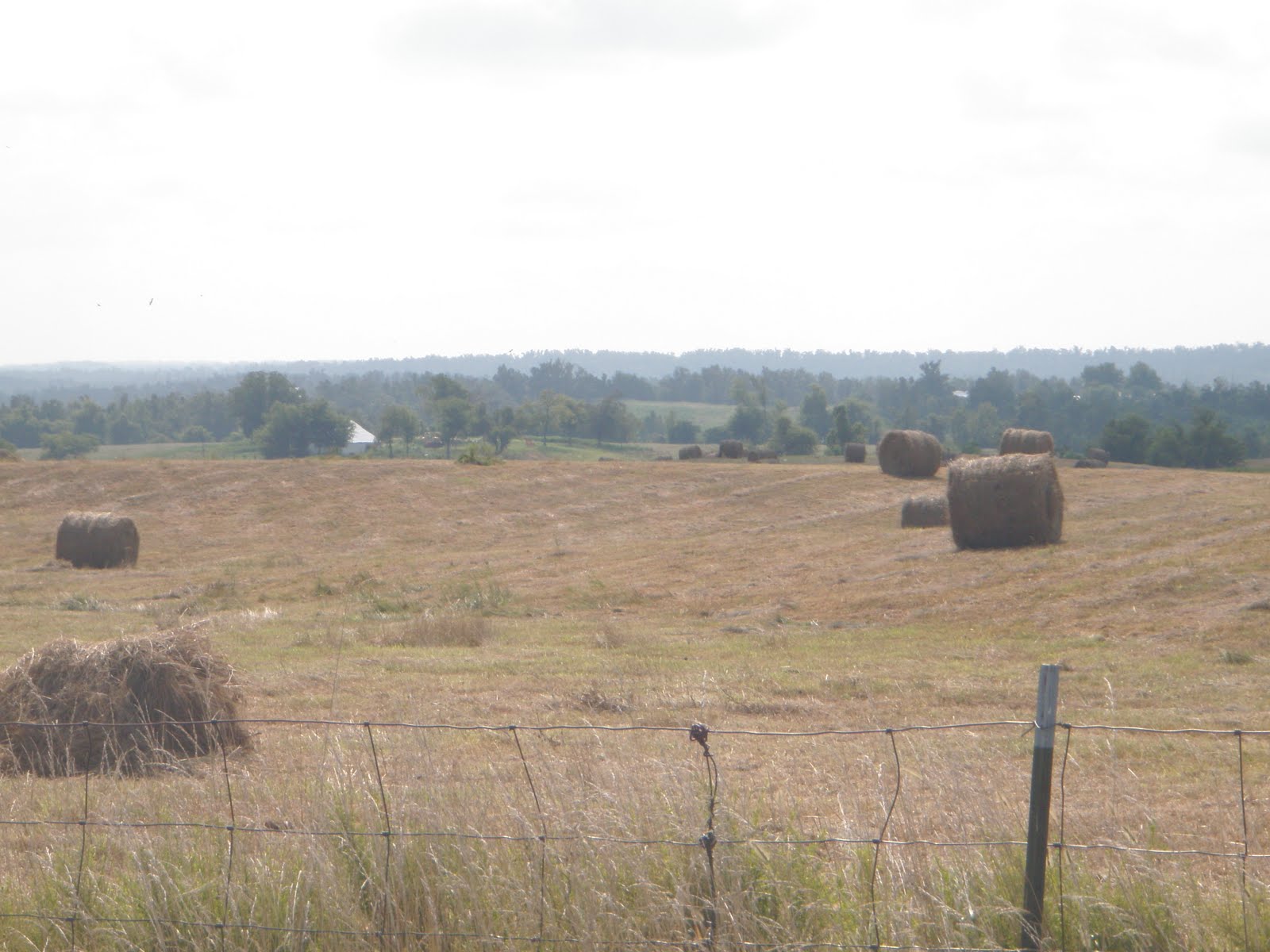 Lone Rider Pedals Elizabethtown, IL to Grand Rivers, KY 66 miles