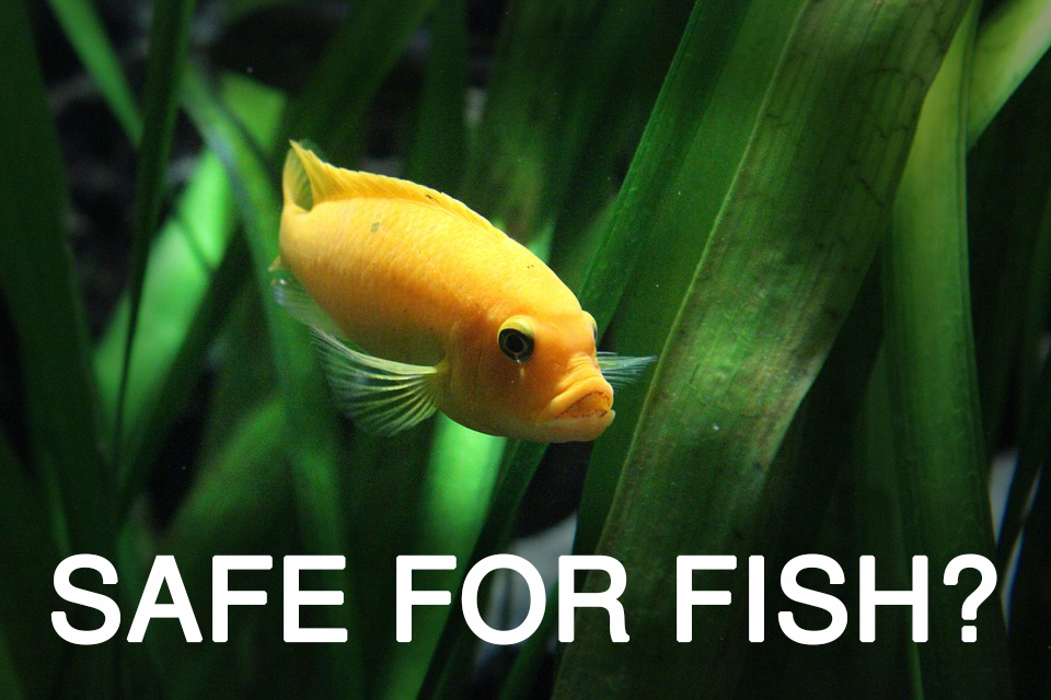 Aquarium Plant Fertilizer Best Aquarium Plant Fertilizers