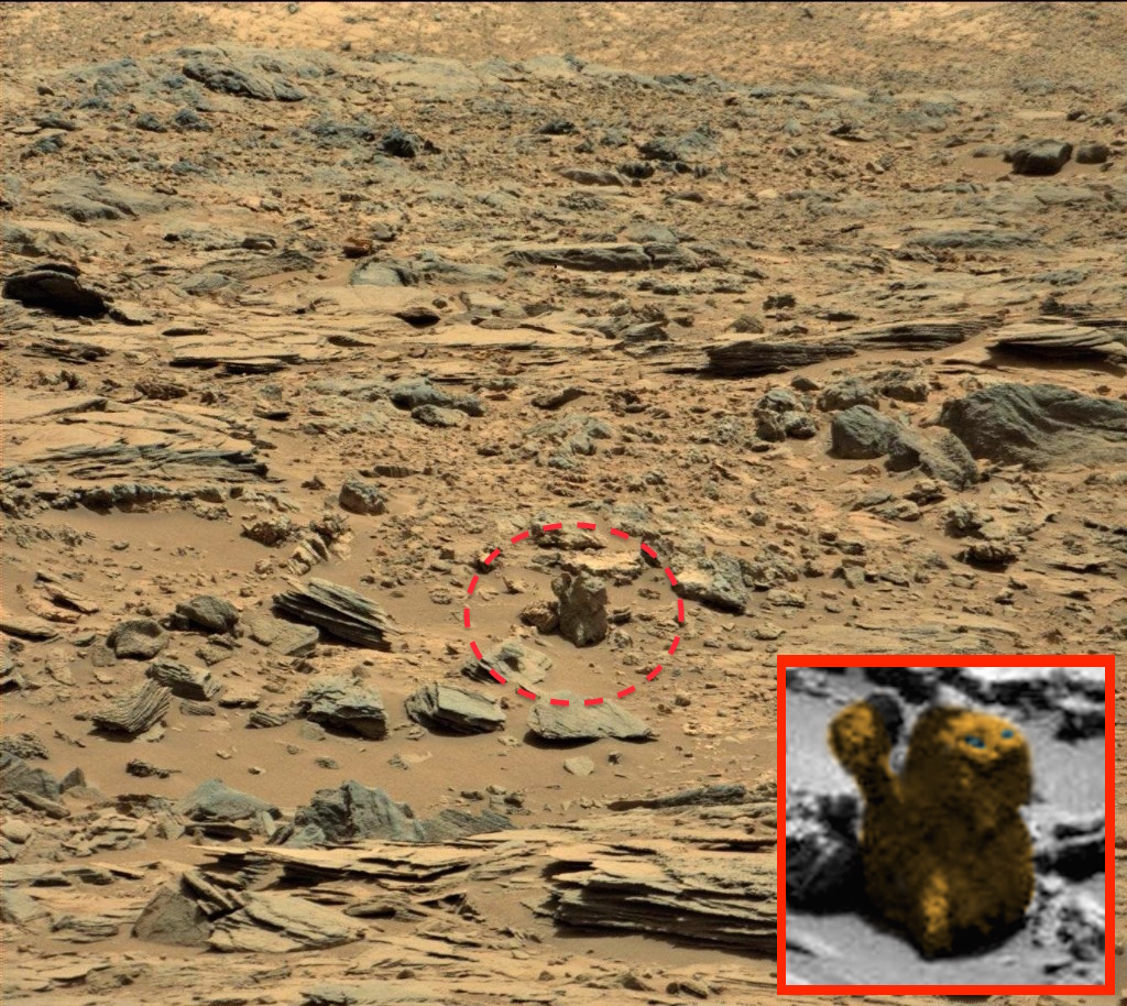 Кто живет на марсе. Обитатели Марса. Живые организмы на Марсе. Снимки жизни на Марсе.
