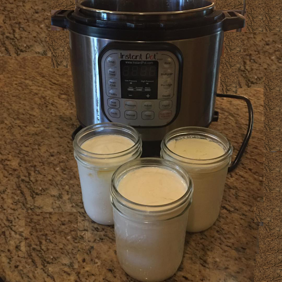 The Everyday Homemaker Making Yogurt Can Now Be Easy
