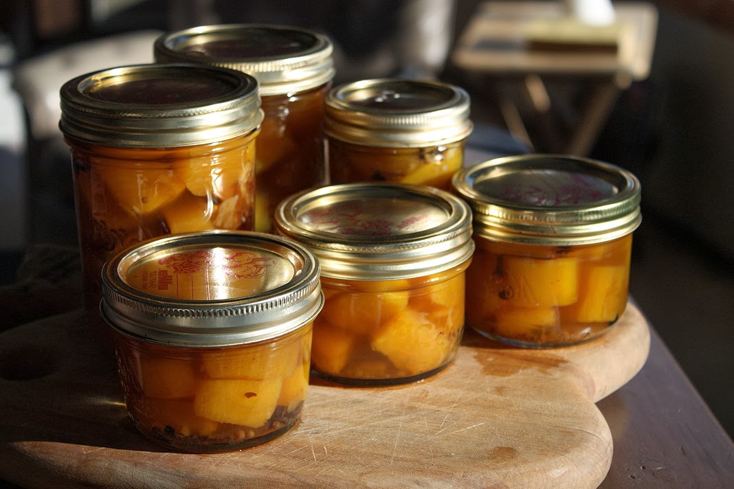 Rusty Ring Hermitcraft Pumpkin Pickles