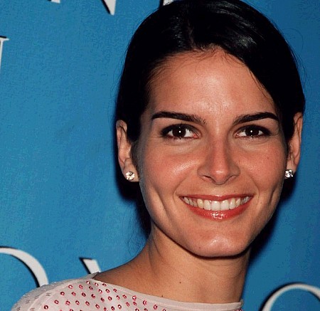 ladies wallpaper: Angie Harmon Hot Pictures