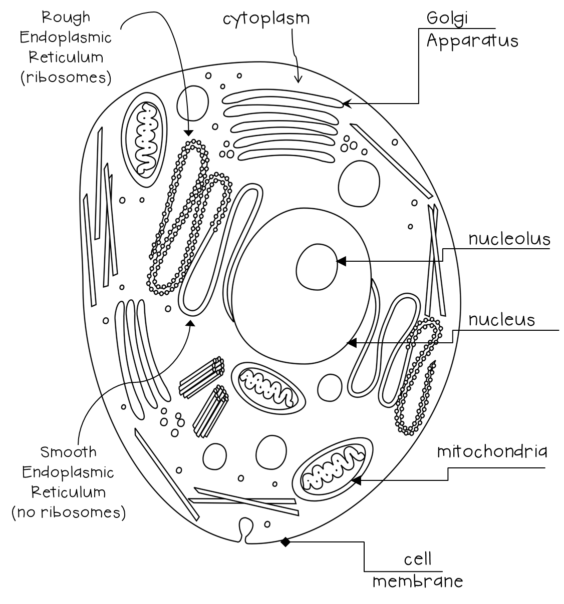 Learning, Lessons, and Life: September 2013