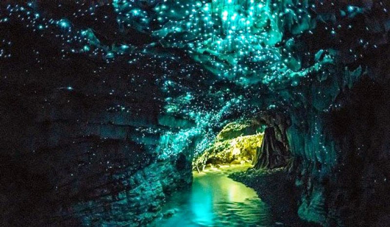 7. Glowworms Cave, New Zealand - 8 Mind Blowing Caves That Will Take Your Breath Away