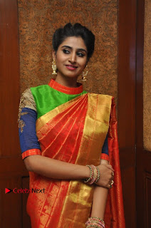 Actress Model Shamili (Varshini Sounderajan) Stills in Beautiful Silk Saree at 'Love For Handloom' Collection Fashion Show  0018