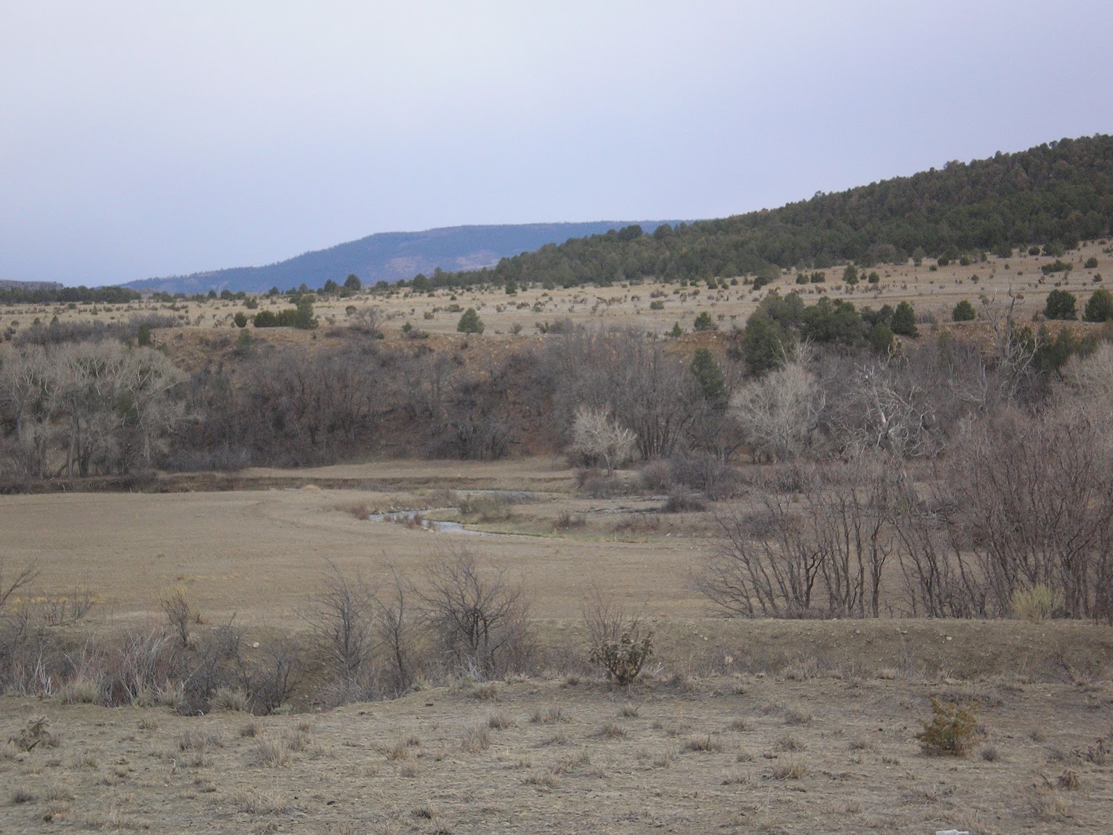 The Road Genealogist Taos to Cimarron, New Mexico