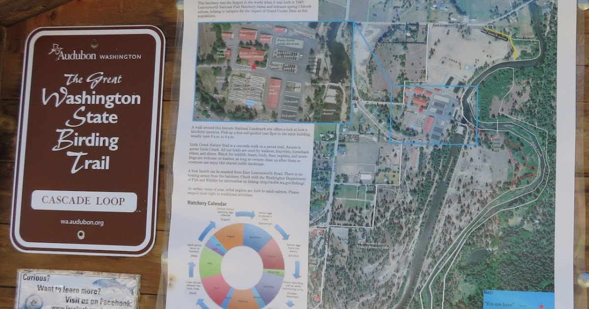 Living Our Dream Visit to Leavenworth National Fish Hatchery