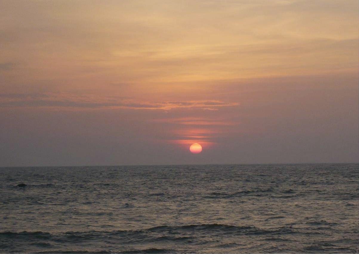 Picture2.jpg
