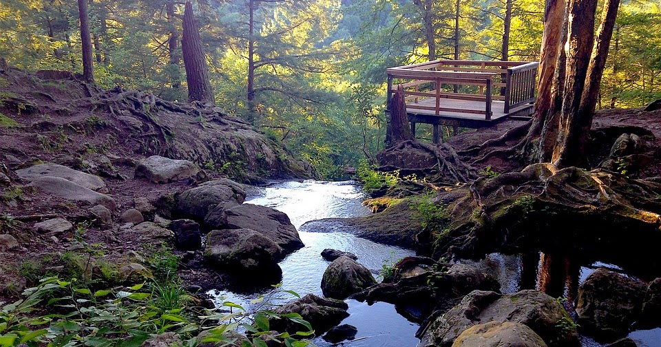 Endangered New Jersey Waterfall Hikes in New Jersey