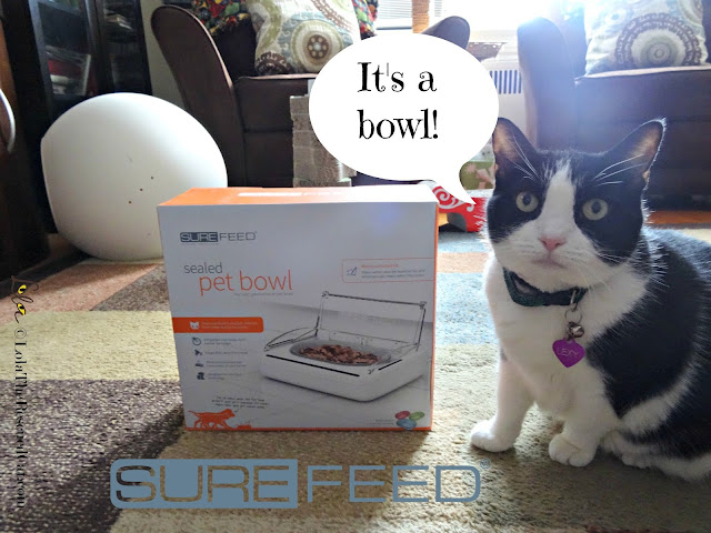 surefeed sealed pet bowl