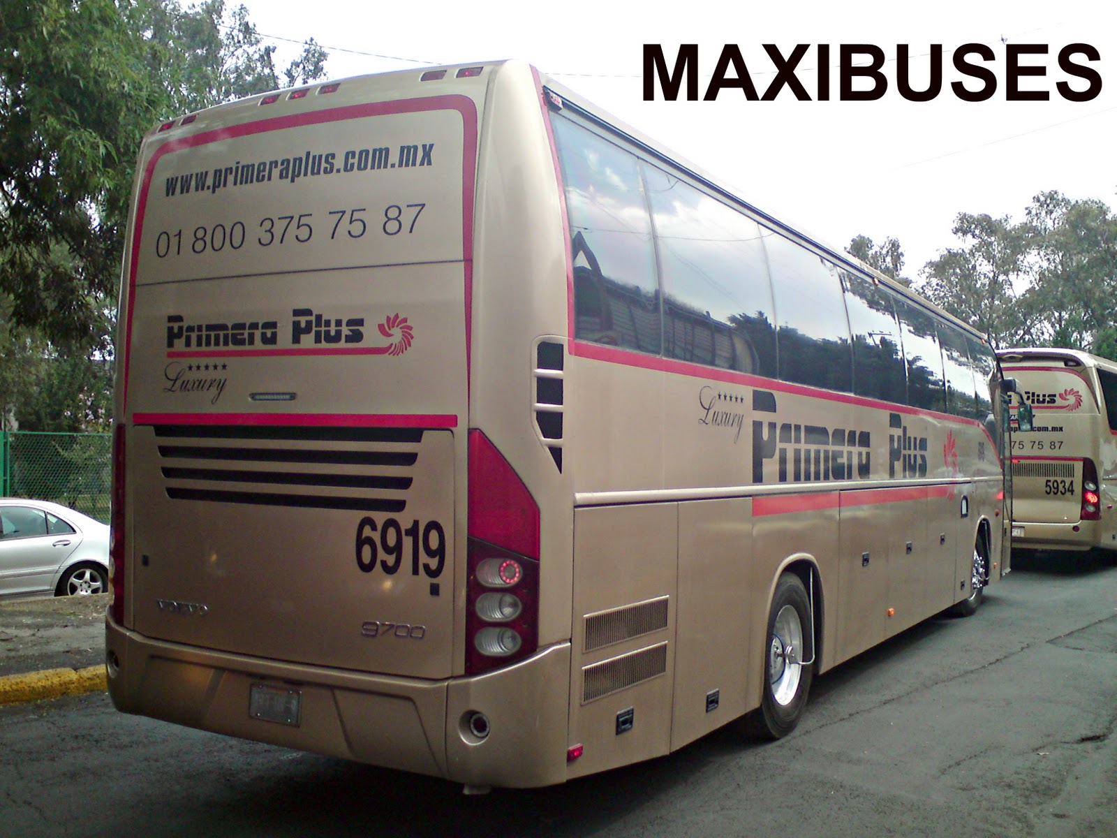 MAXIBUSES PRIMERA PLUS