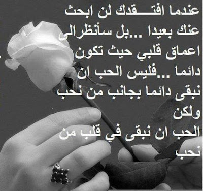 shof_3bddcbffd59d79c