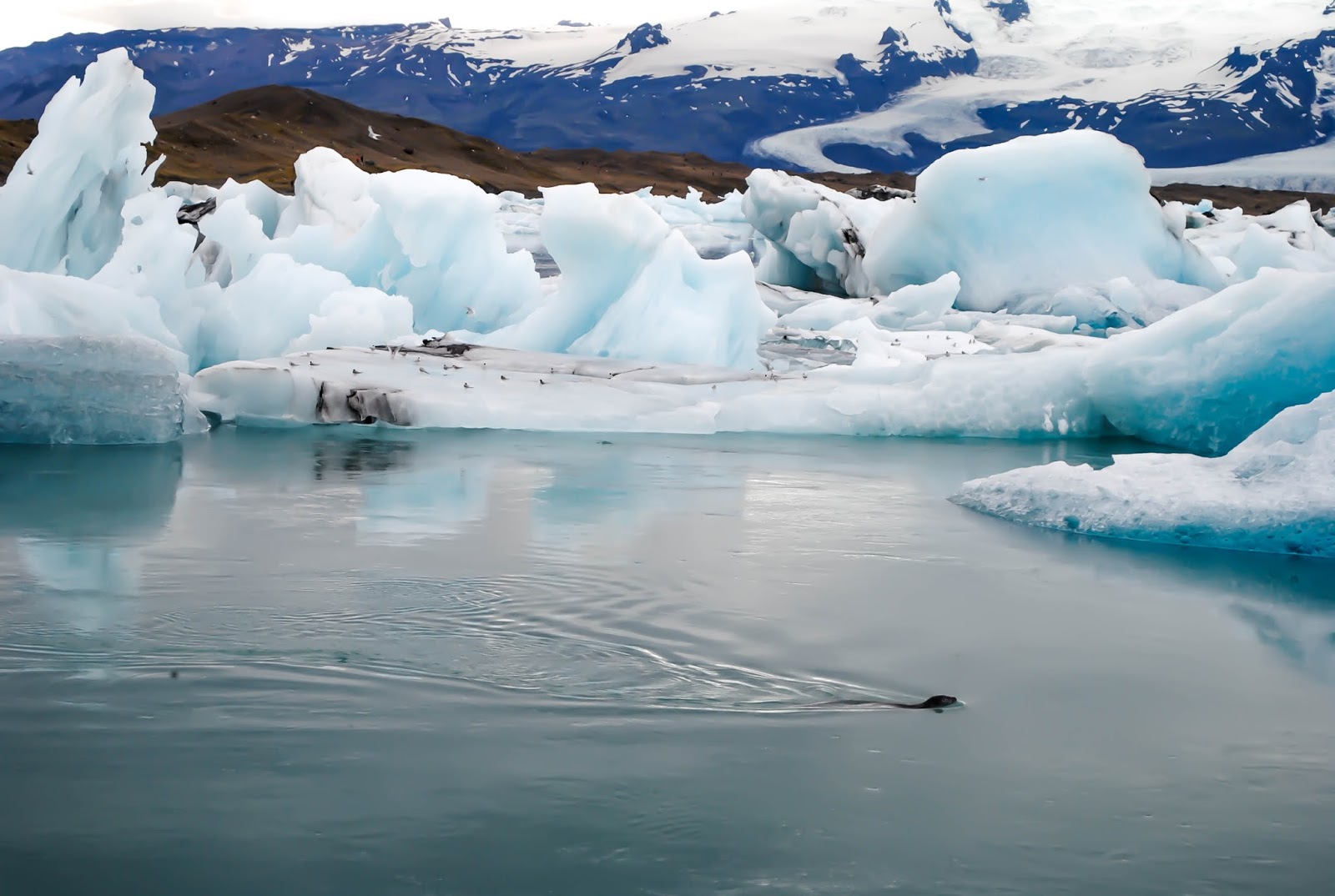 Things to do in Reykjavik Iceland : Take a day trip to the Jokulslaroon Glacier Lagoon