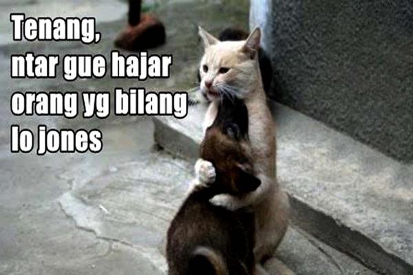 Meme Anjing Dengan Kata Kata Lucu Humor Lucu Banget