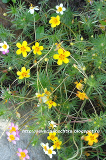 ����������