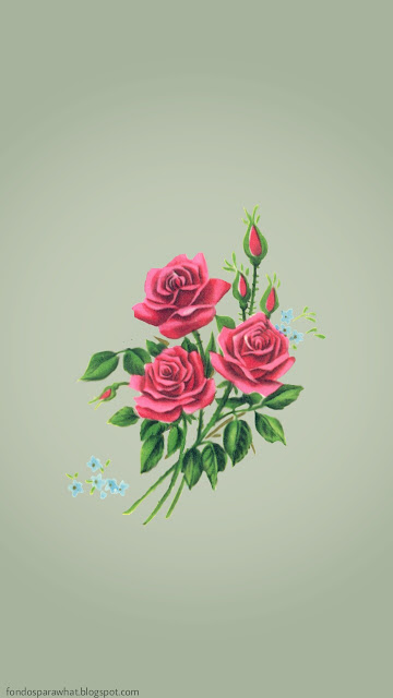 Wallpaper de una Rosa Roja 