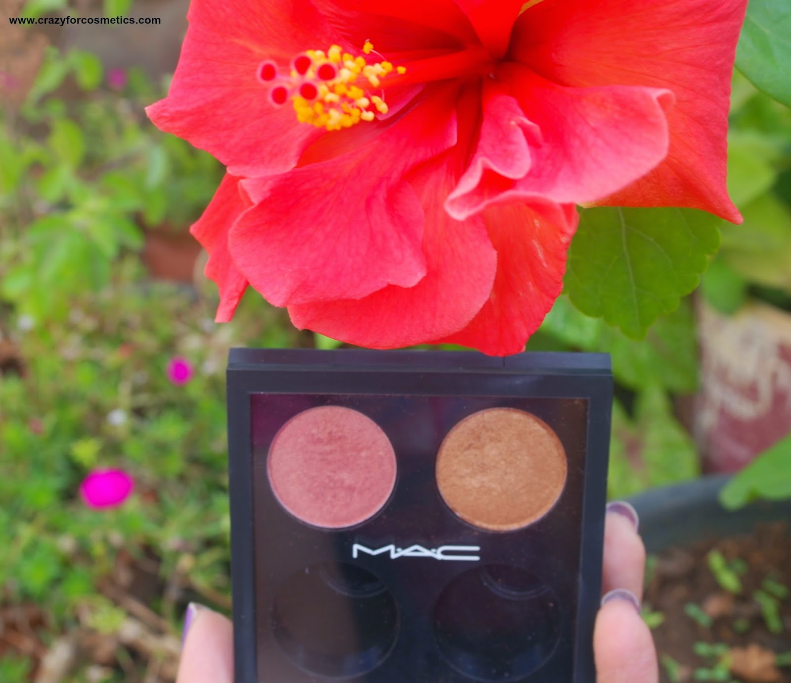 MAC Expensive pink eyeshadow  swatches