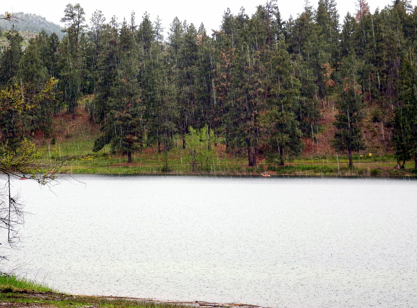 Wheelstogogo Travel Tales. Sawmill Lake hiking trail.
