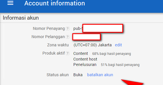 Mengubah Data AdSense: Amankah dan Bagaimana Melakukannya dengan Benar?
