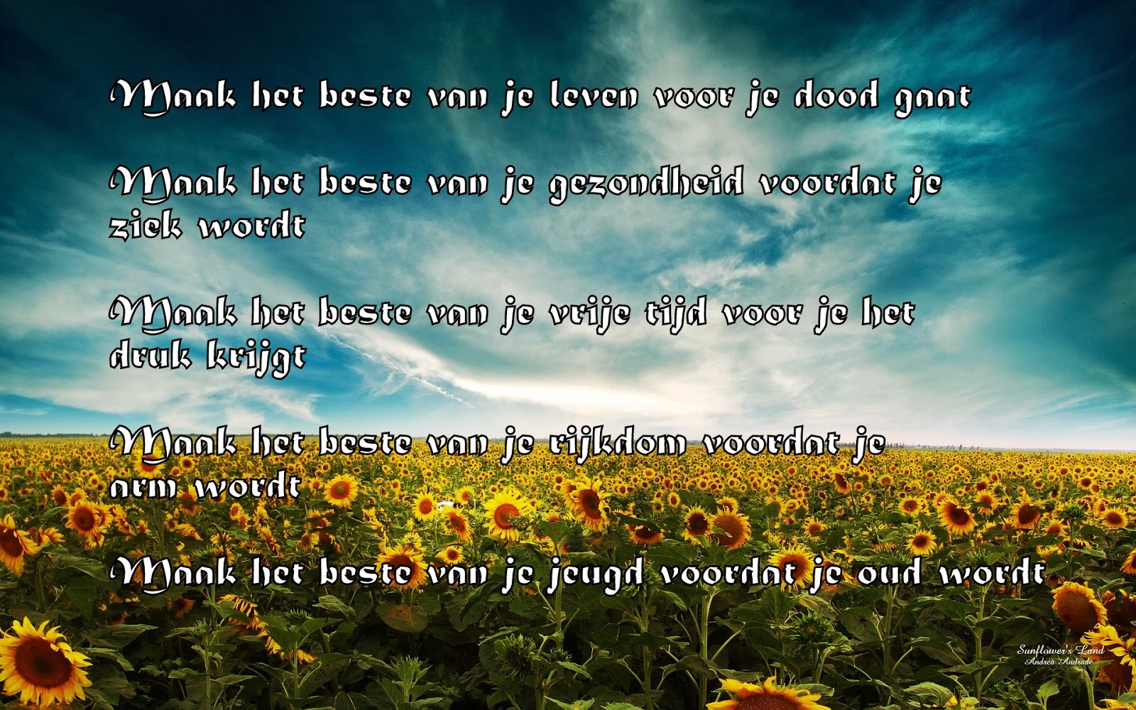 Citaten en Wijze Woorden uit de Islam oktober 2013