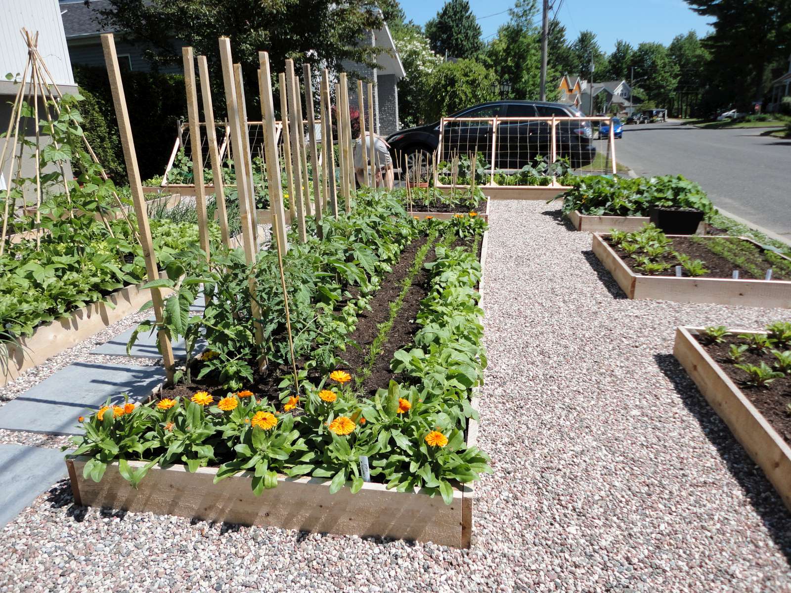 Le potager urbain Potager en photos et vidéos