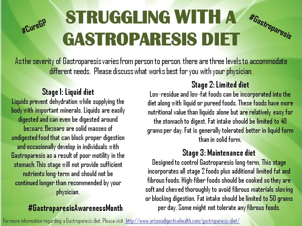 diabetic gastroparesis diet menu