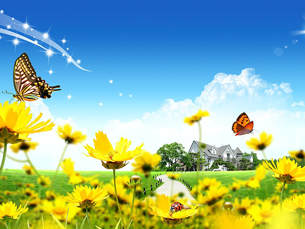 صورخلفيات حلوه صورخلفيات حلوه