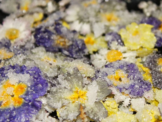 Diva Food: Kandierte Blüten