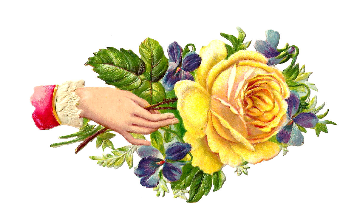 free clip art vintage roses - photo #40