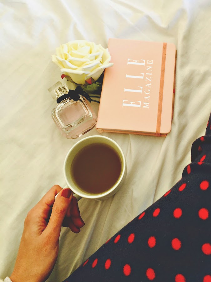 Fitness And Chicness-Mon Paris Planning 2017-2