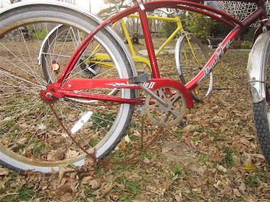 Rusted, Busted Bike Chain.