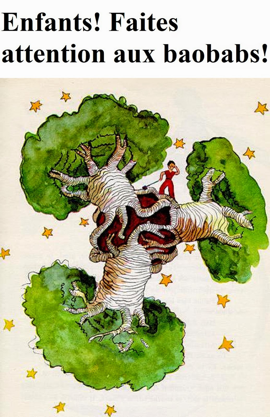 Antoine de Saint Exupery: Baobab.