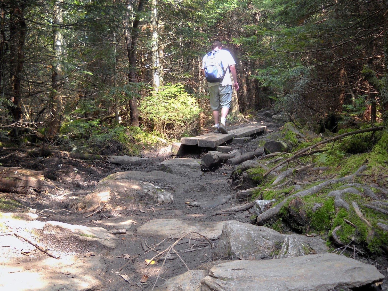 Mud Season is Here! Help Us Protect Fragile Trail Environments