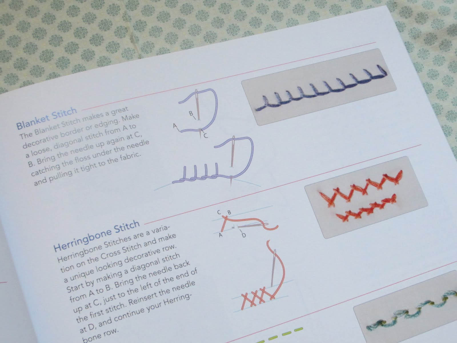 Staying Steyn Doodle Stitching!