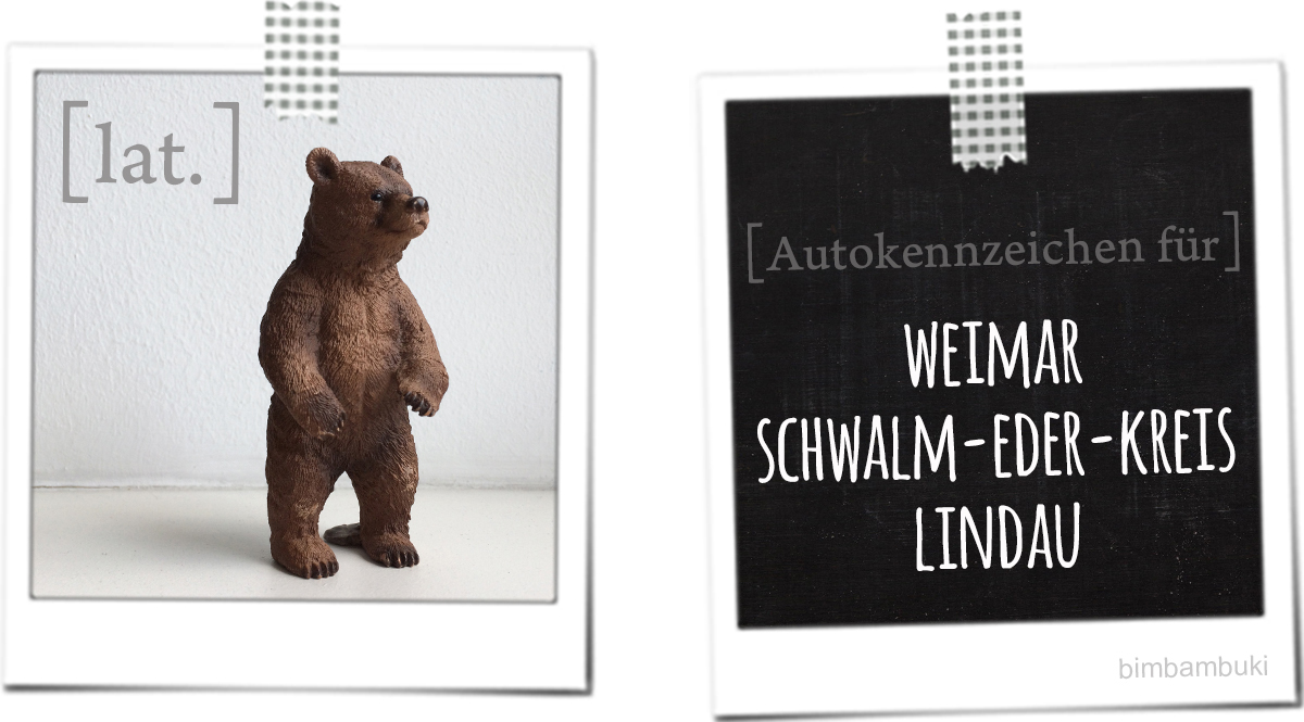 Vorbereitungen 1 Schultag Bilderbuch Wenn Ein Lowe In Die