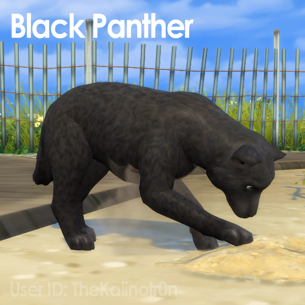 Sims 4 CC's The Best Wild animals by Kalino