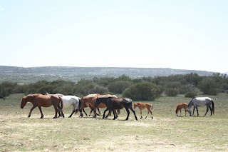 ruta en moto por Gredos