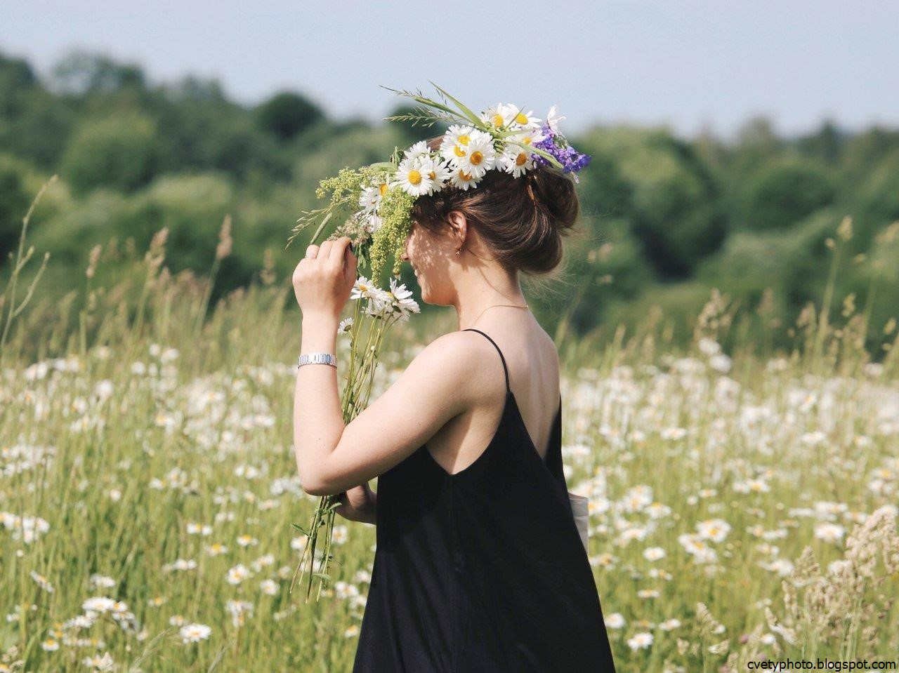 28 июня женщина. Девушка в поле. Девушка с ромашкой в волосах. Девушка с цветком. Женщина со спины.