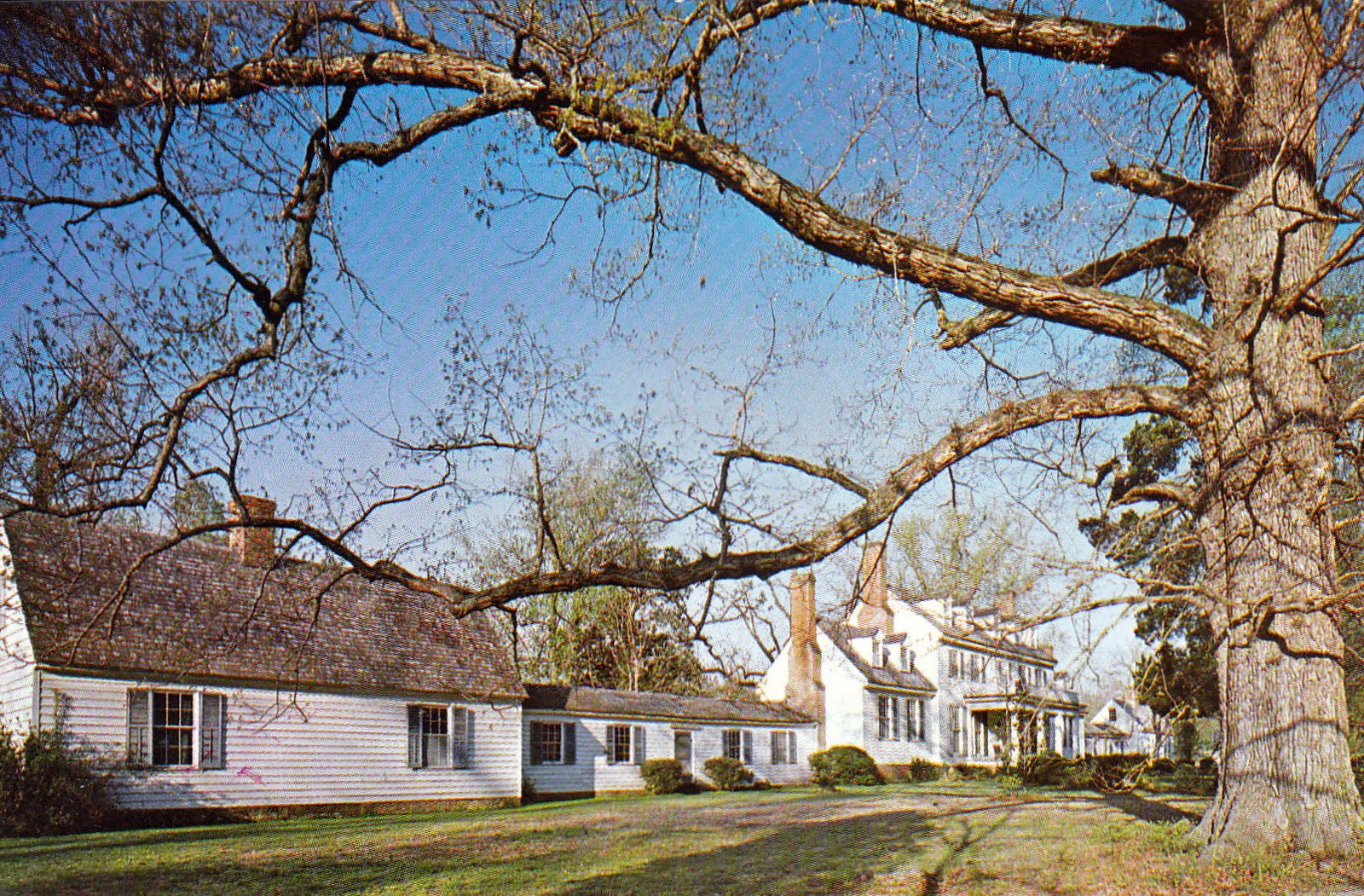 Little Red Mail Box sherwood forest