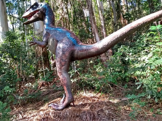 Dinossauros sempre despertam nossa curiosidade. Viveram a milhões de anos atras mas ainda nos facionam e nos encantam. Lá no Vale dos Dinossauros, ficamos frente a frente com esses imponentes animas. Vem ver nossa aventura!